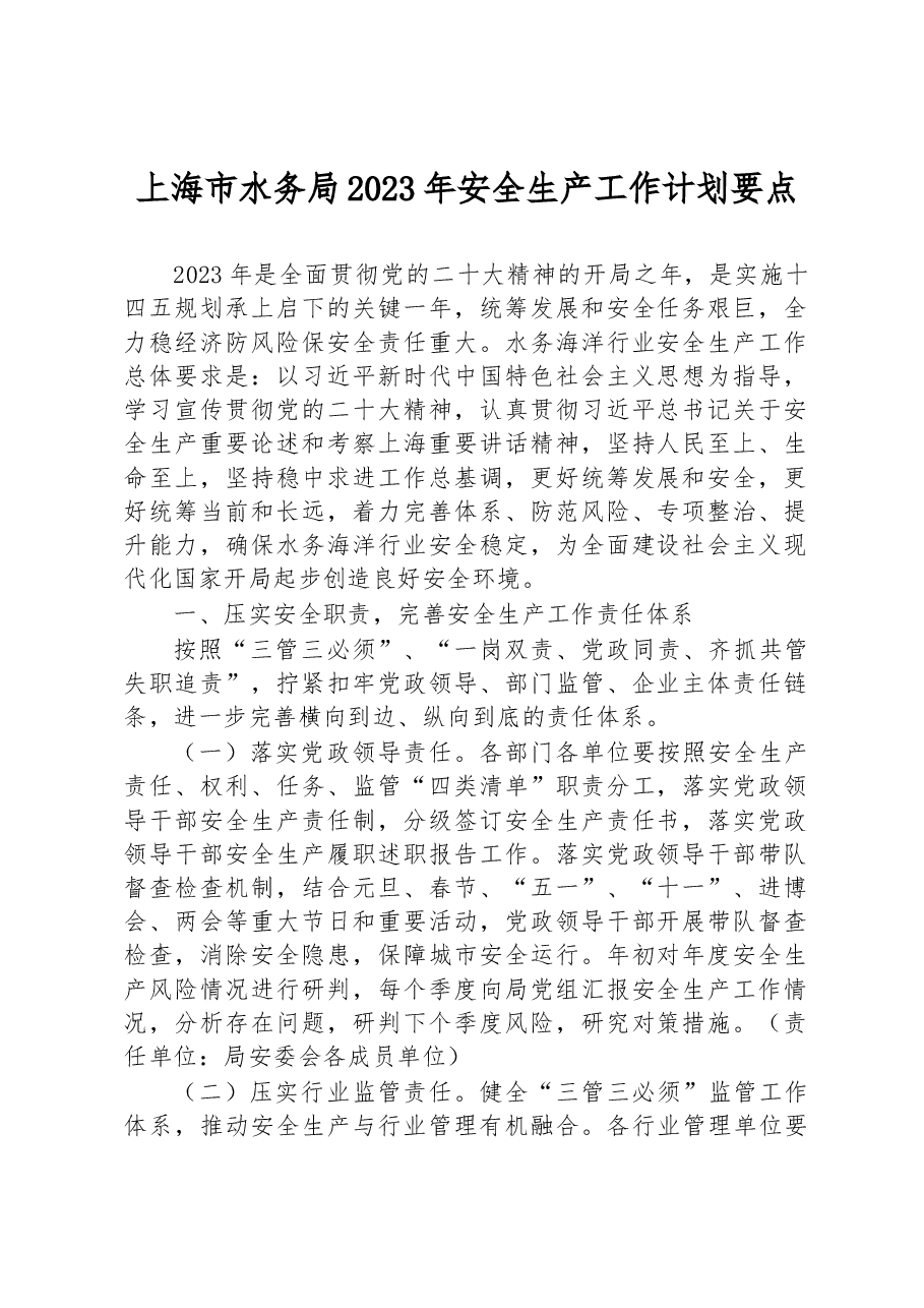上海市水务局2023年安全生产工作计划要点.docx，第1页预览