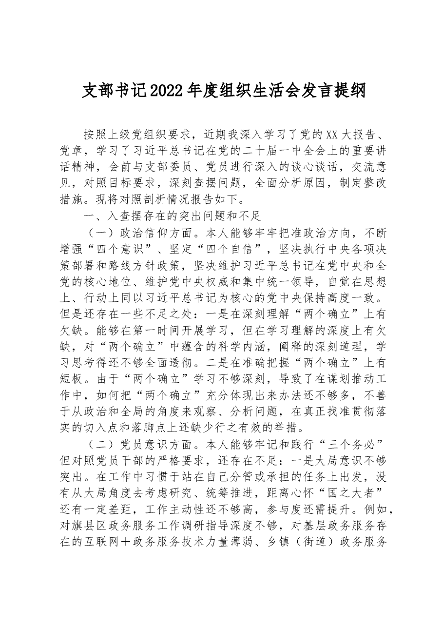 支部书记2022年度组织生活会发言提纲.docx,第1页预览