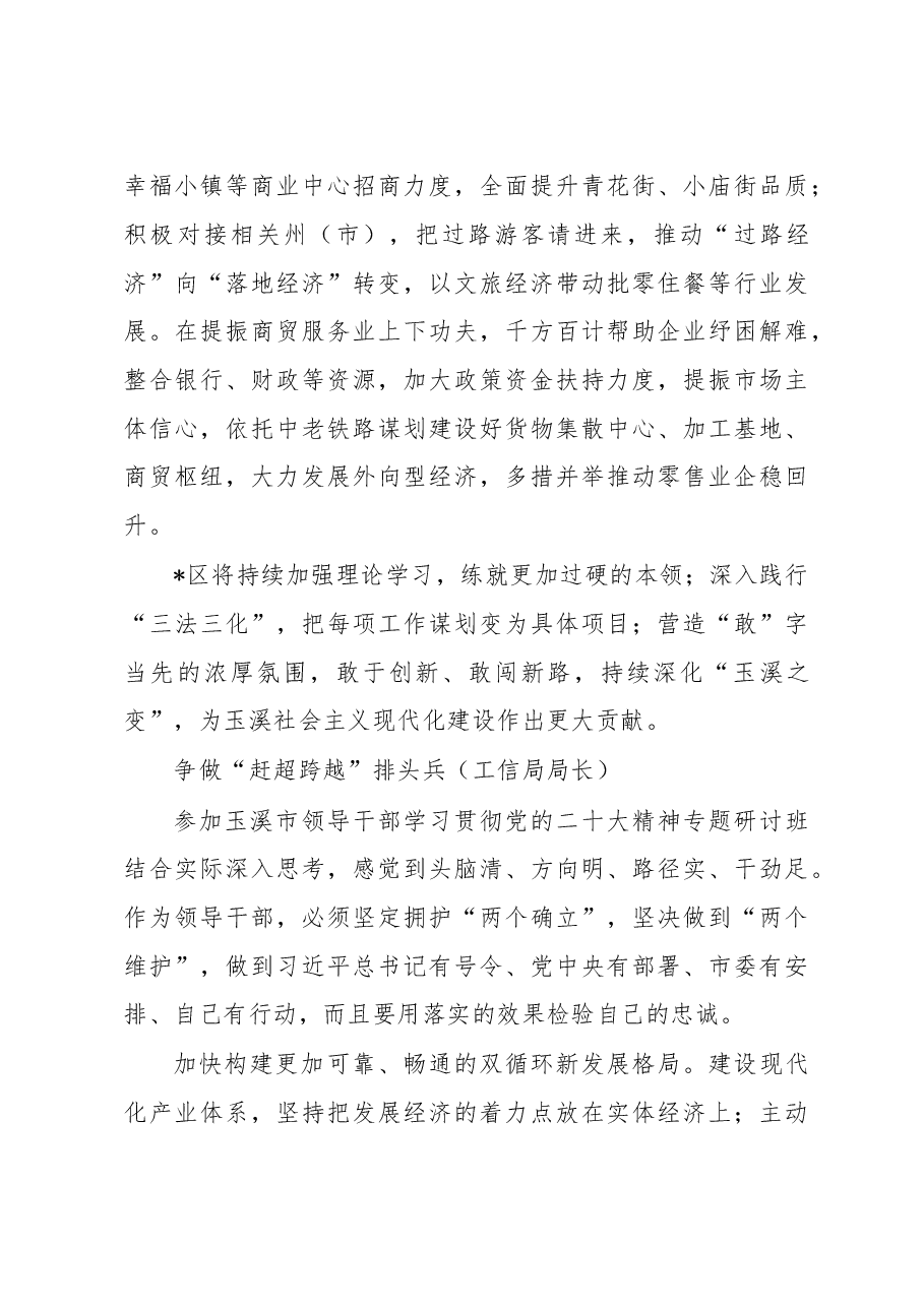 (5篇)领导干部学习贯彻党的二十大精神专题研讨班学员发言汇编.docx,第4页预览
