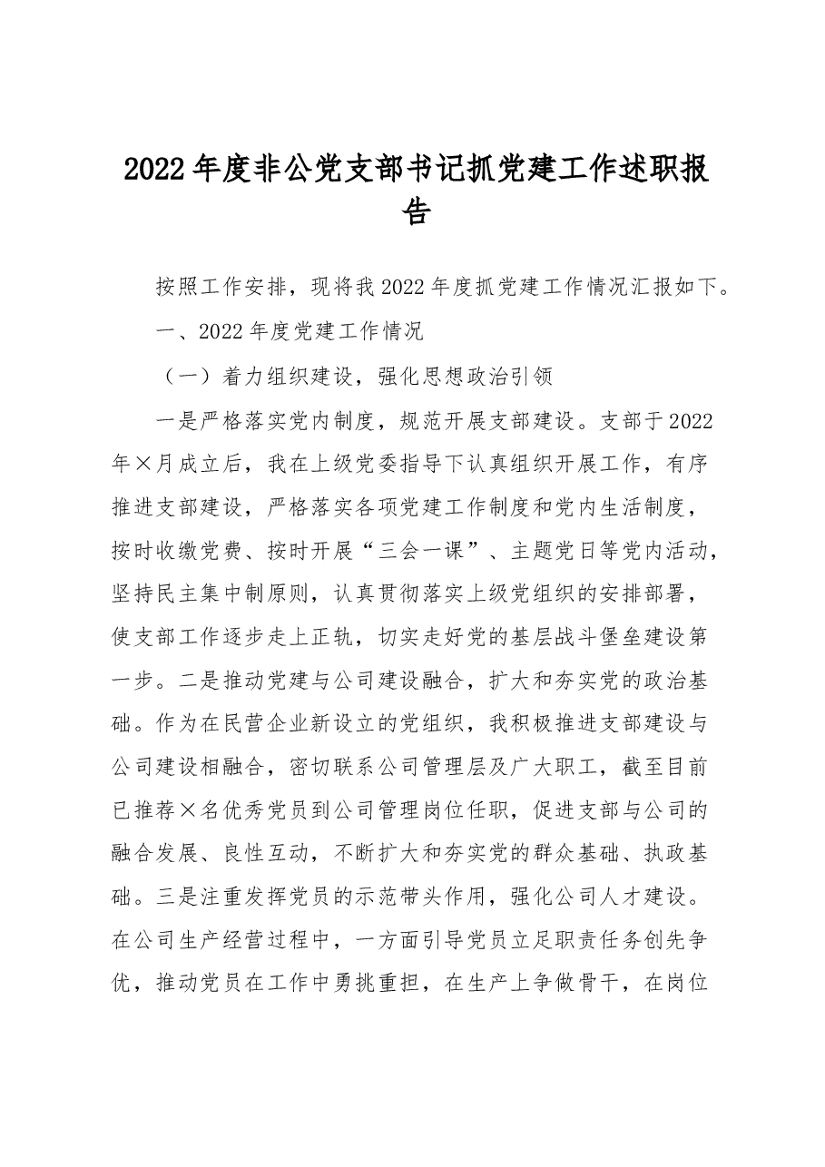 2022年度非公党支部书记抓党建工作述职报告.docx,第1页预览