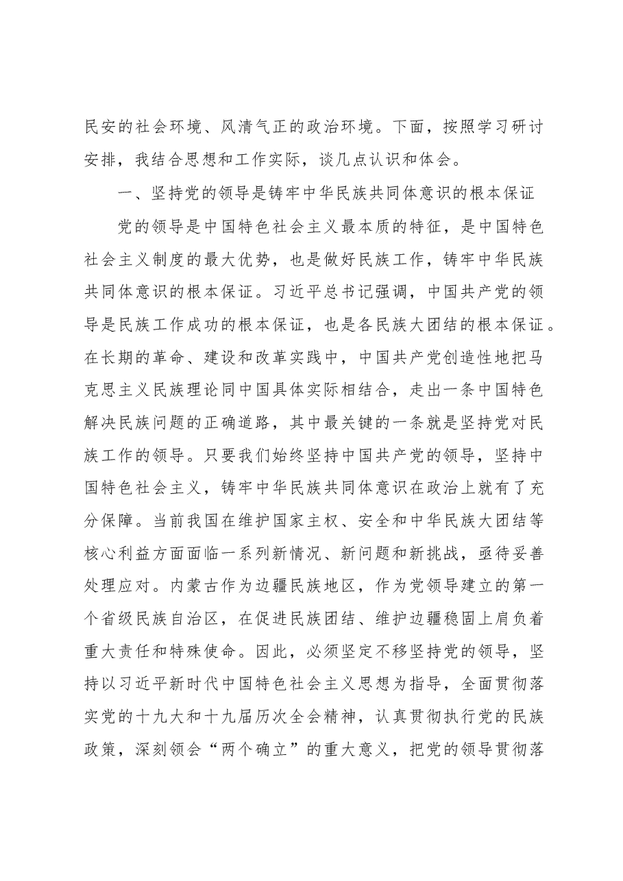 铸牢中华民族共同体意识研讨发言.docx,第2页预览