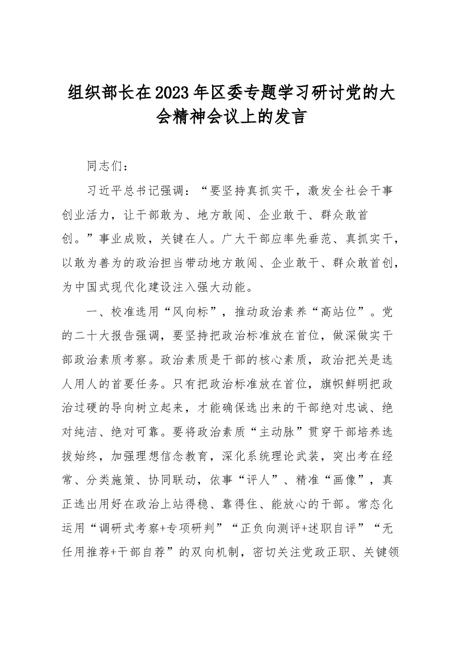 组织部长在2023年区委专题学习研讨党的大会精神会议上的发言.docx，第1页预览
