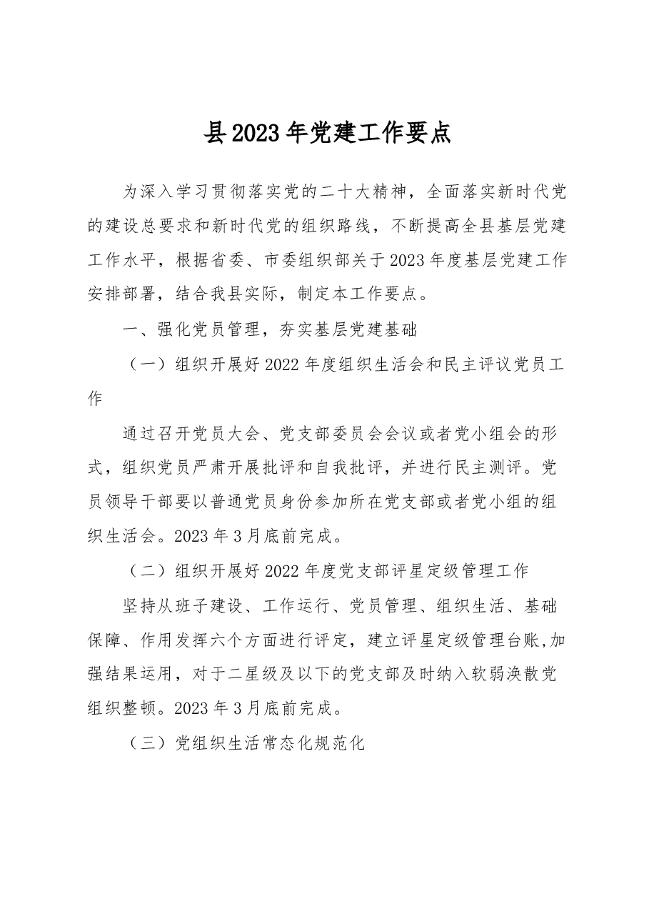 县2023年党建工作要点.docx,第1页预览