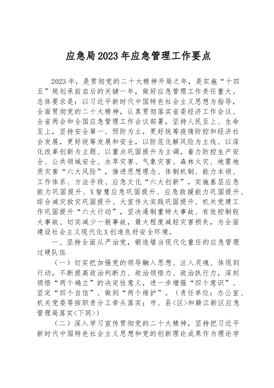 应急局2023年应急管理工作要点.docx,第1页预览