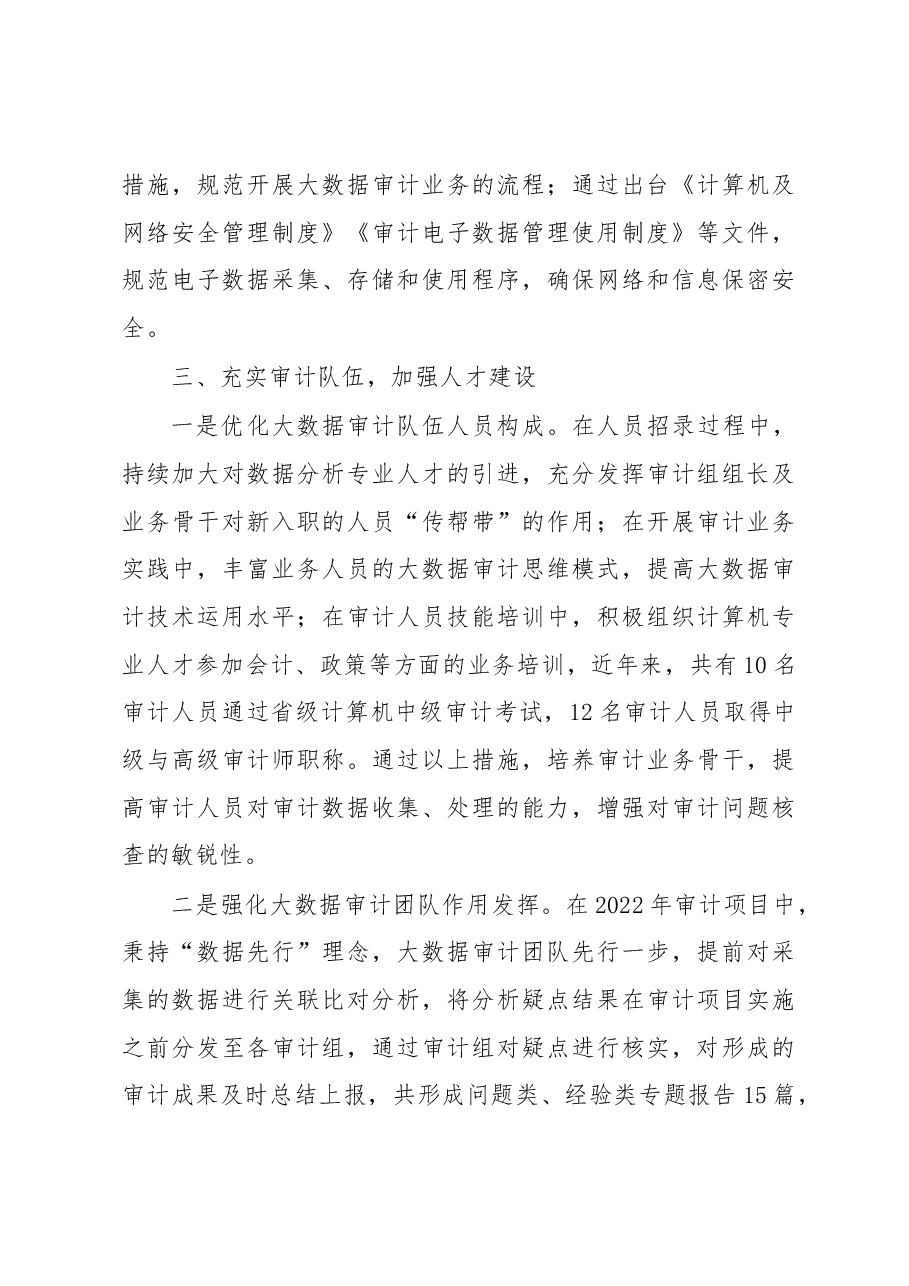 市审计局大数据工作创新经验交流材料.docx，第3页预览