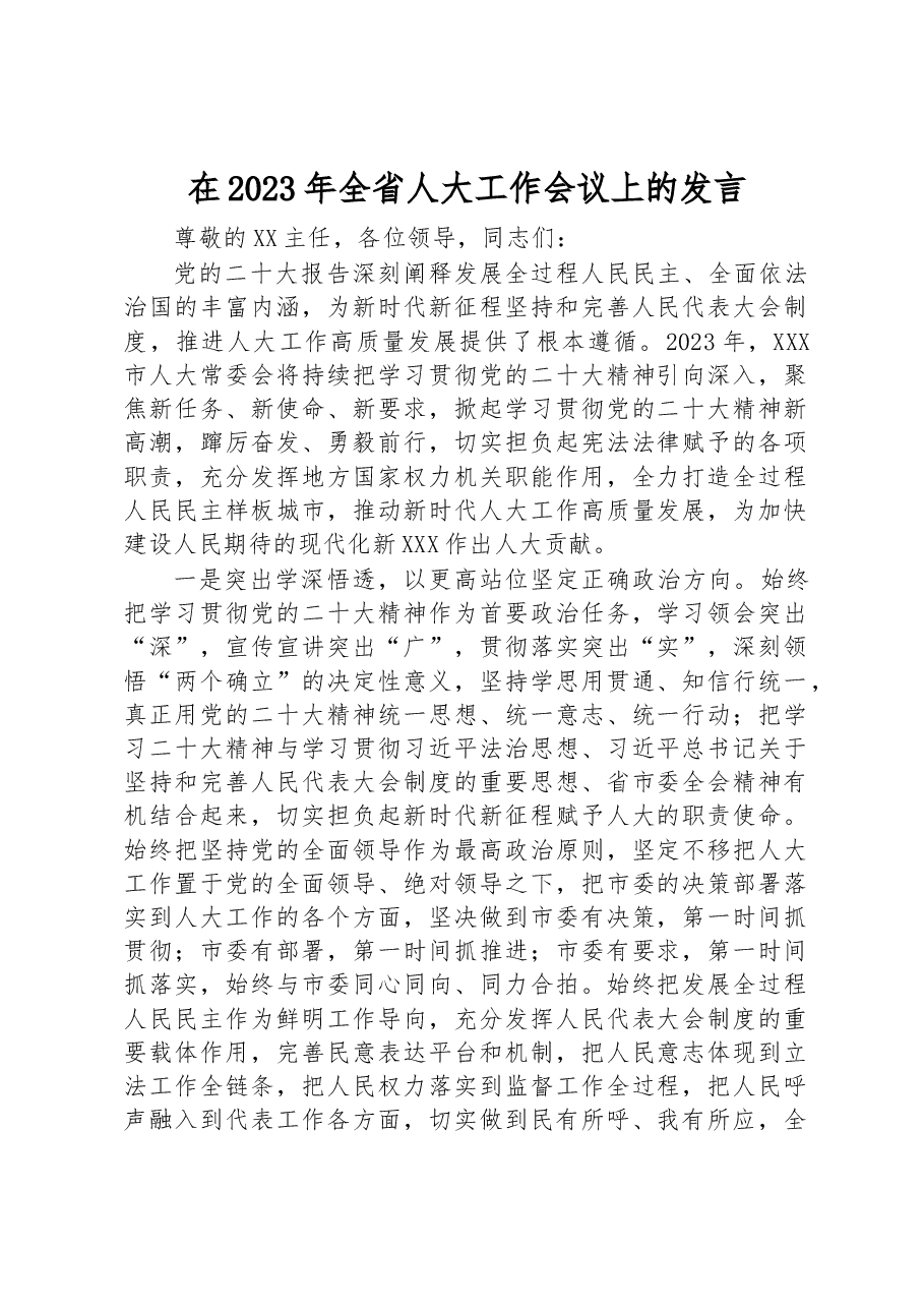 在2023年全省人大工作会议上的发言.docx,第1页预览