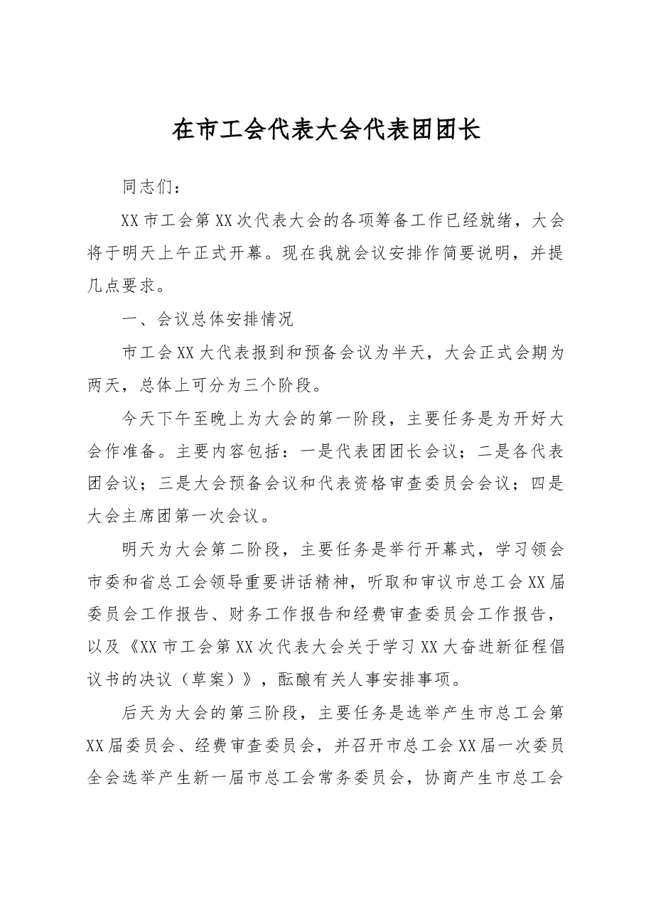 在市工会代表大会代表团团长(召集人)会议上的讲话.docx,第1页预览