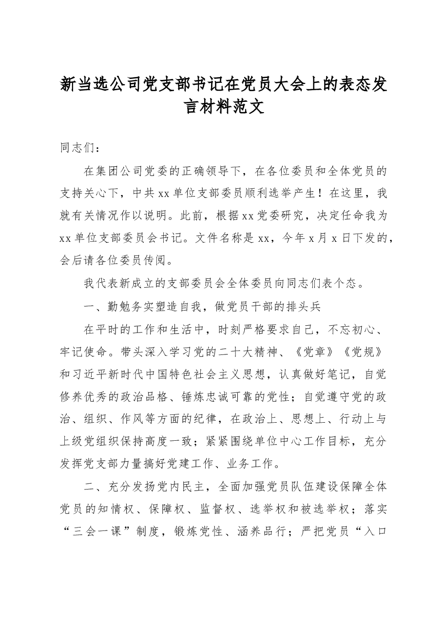 新当选公司党支部书记在党员大会上的表态发言材料范文.docx,第1页预览