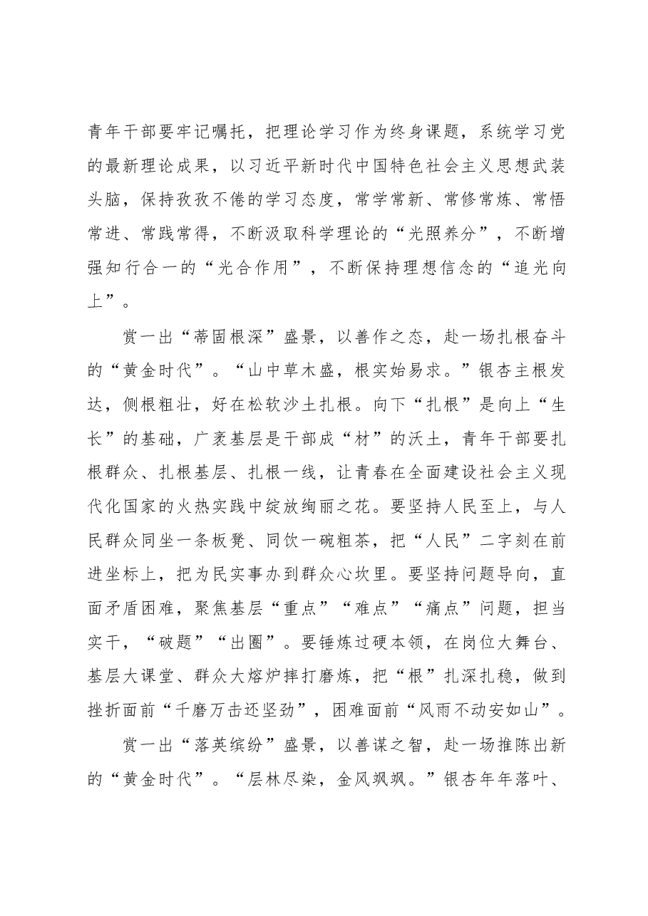 赏一出“银杏盛景” 赴一场“黄金时代”.docx,第2页预览