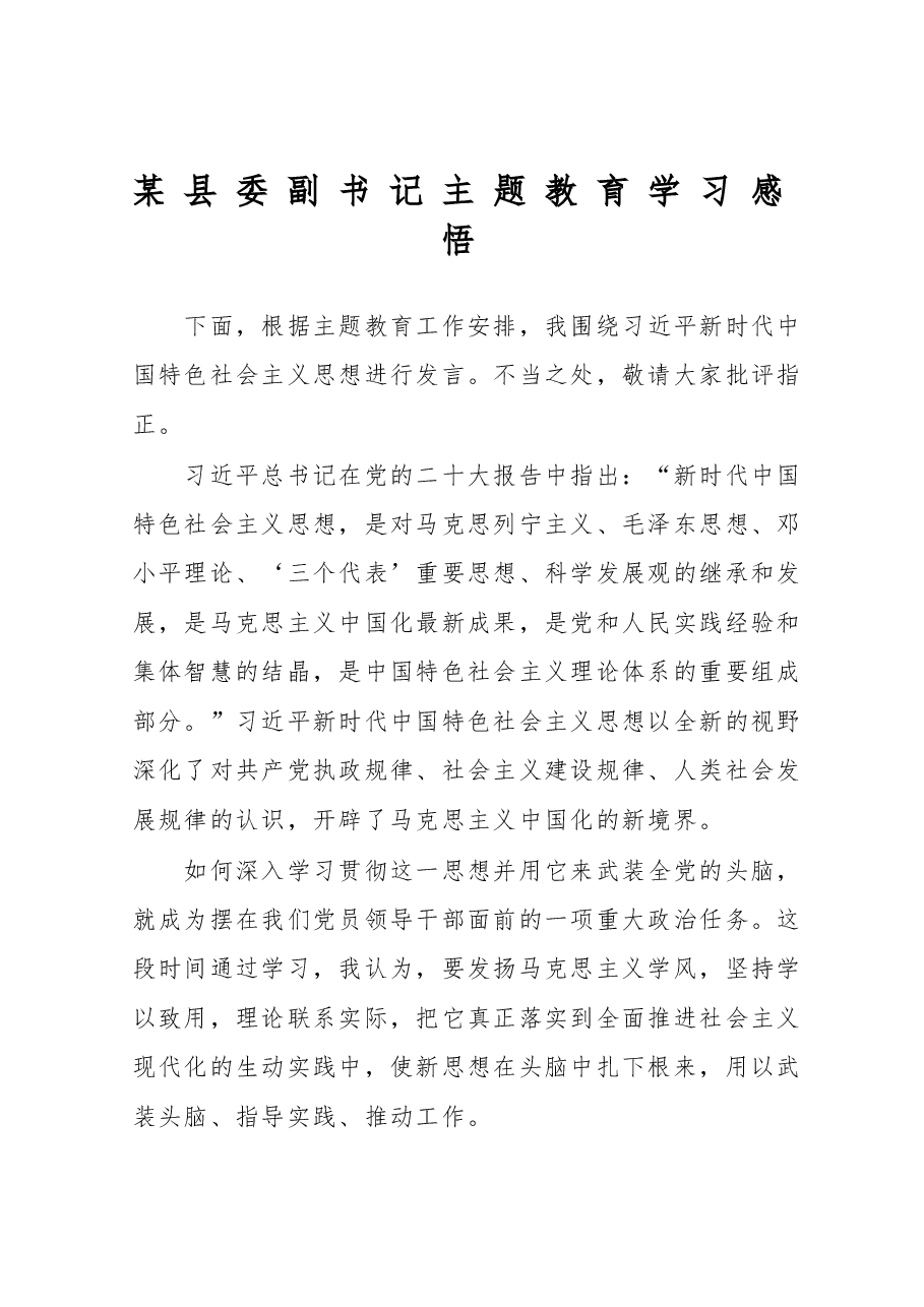 某县委副书记党内主题教育学习感悟.doc，第1页预览