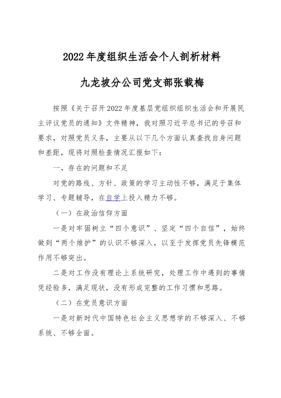 2022年度组织生活会个人剖析材料(分公司党支部).doc,第1页预览
