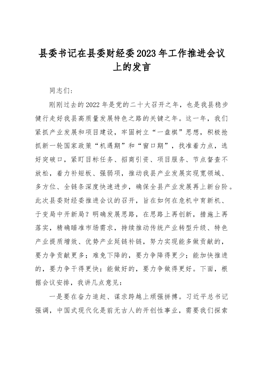 县委书记在县委财经委2023年工作推进会议上的发言.docx,第1页预览