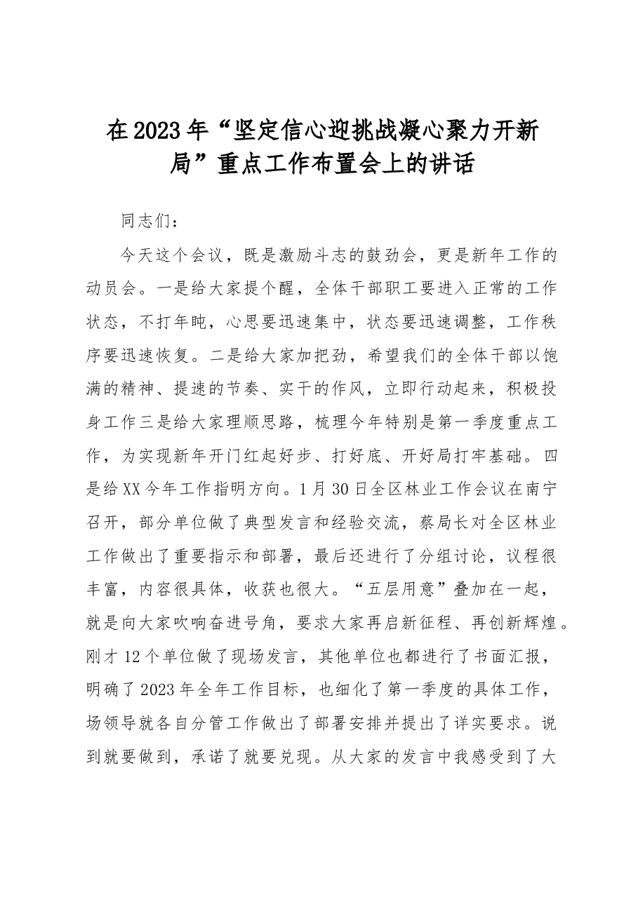 在2023年“坚定信心迎挑战+凝心聚力开新局”重点工作布置会上的讲话.docx,第1页预览