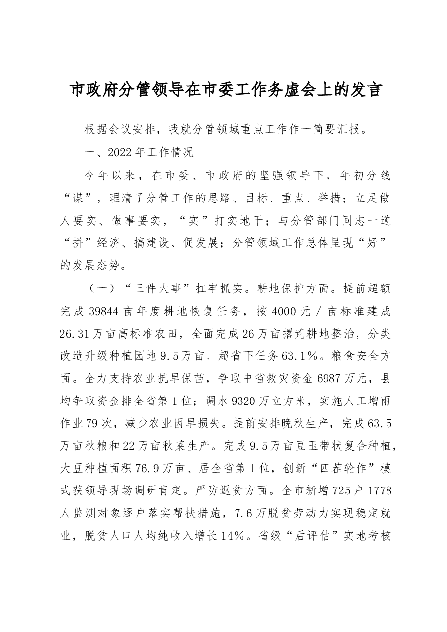 市政府分管领导在市委工作务虚会上的发言.docx,第1页预览