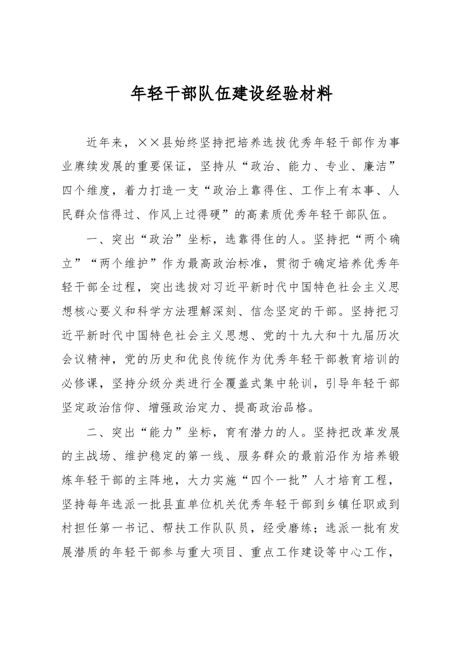 年轻干部队伍建设经验材料.docx，第1页预览