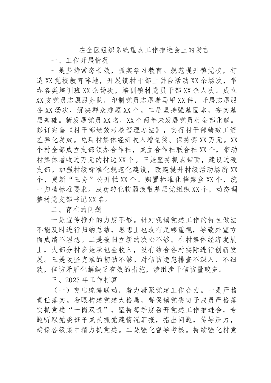 在全区组织系统重点工作推进会上的发言.docx,第1页预览