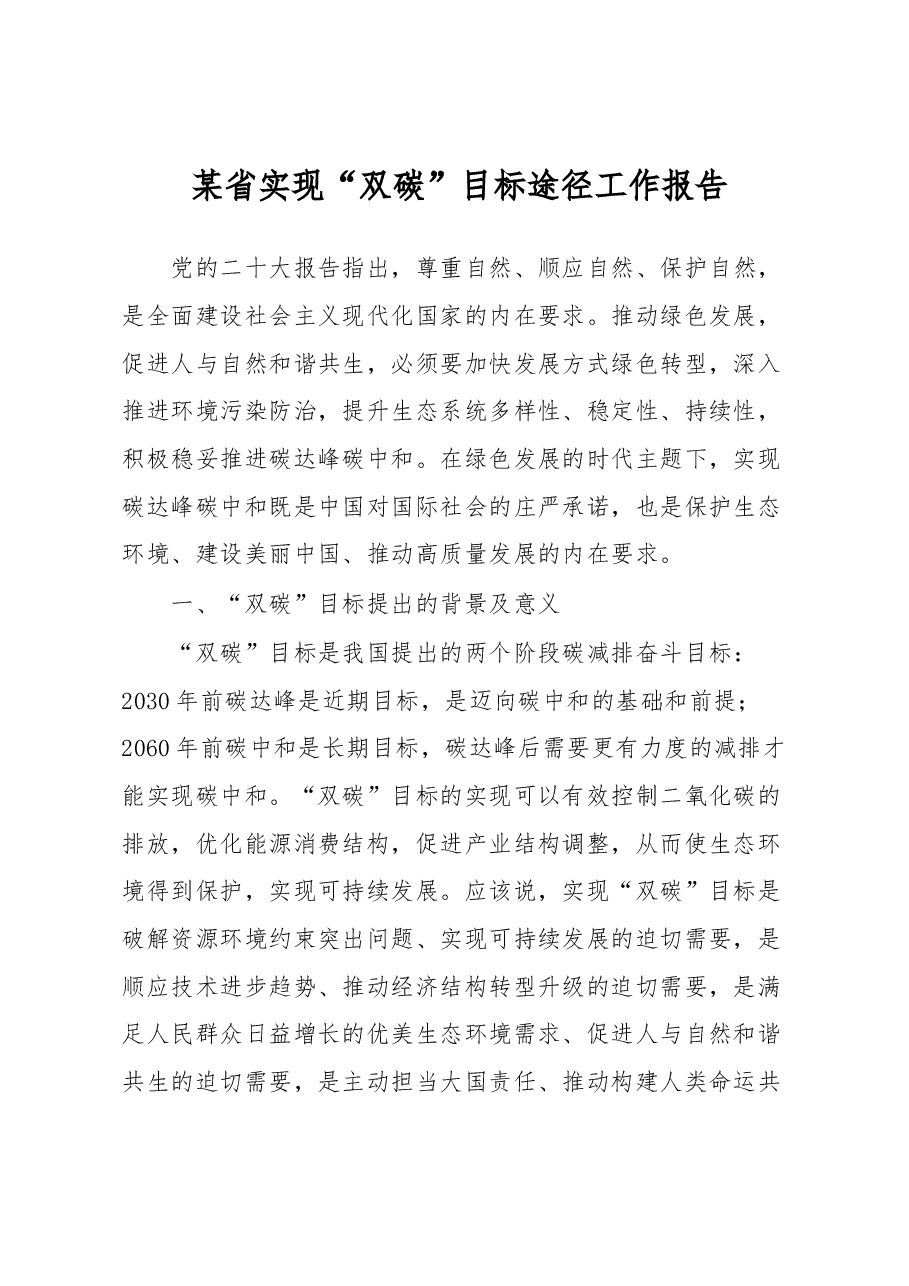 某省实现“双碳”目标途径工作报告.docx,第1页预览