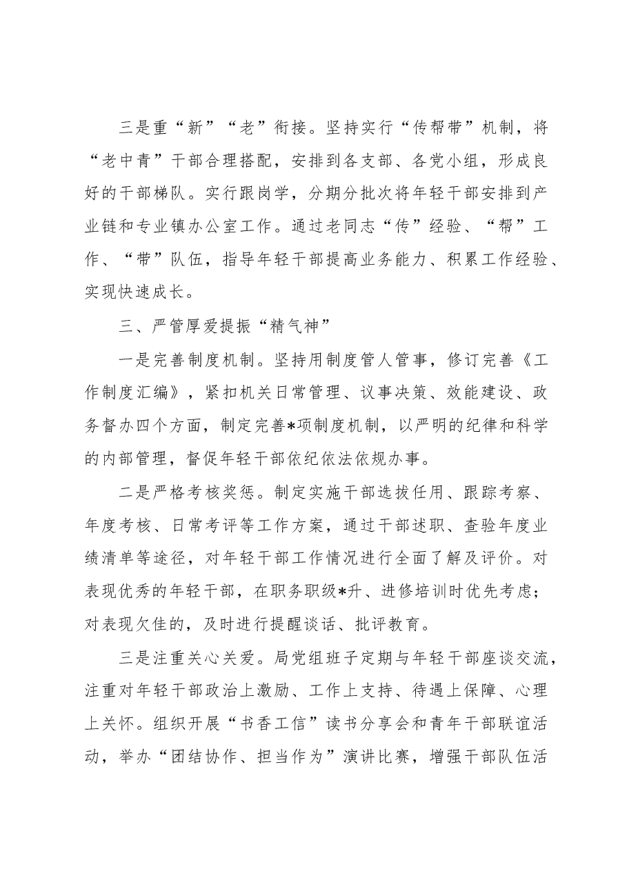 经验材料:深化“选育管用”四项举措抓好抓实年轻干部队伍建设.docx,第3页预览