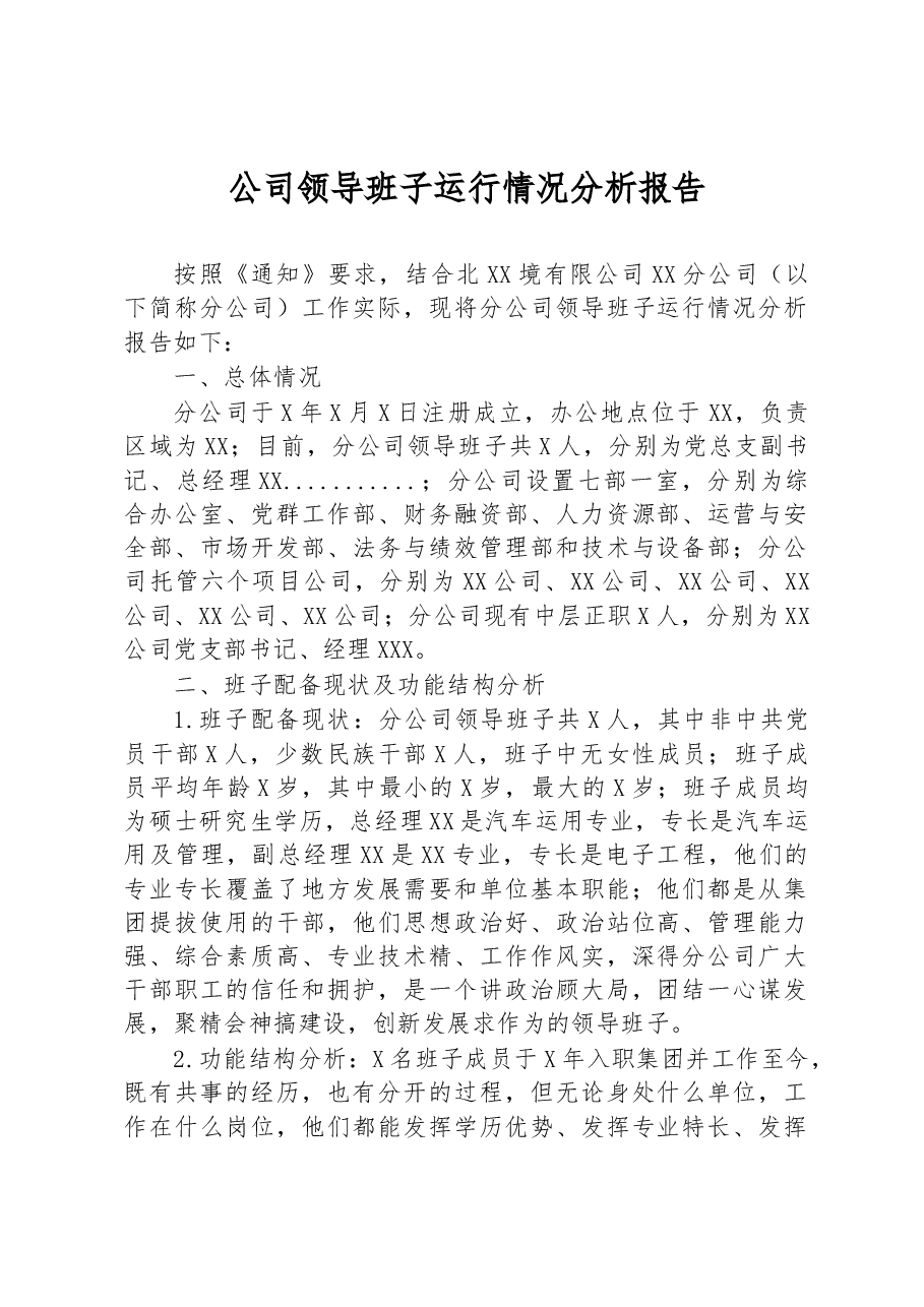 公司领导班子运行情况分析报告.docx,第1页预览