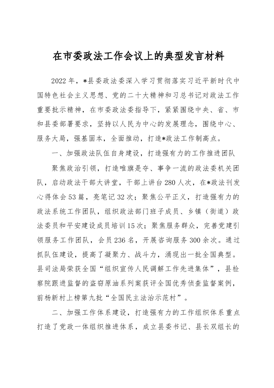 在市委政法工作会议上的典型发言材料.docx,第1页预览