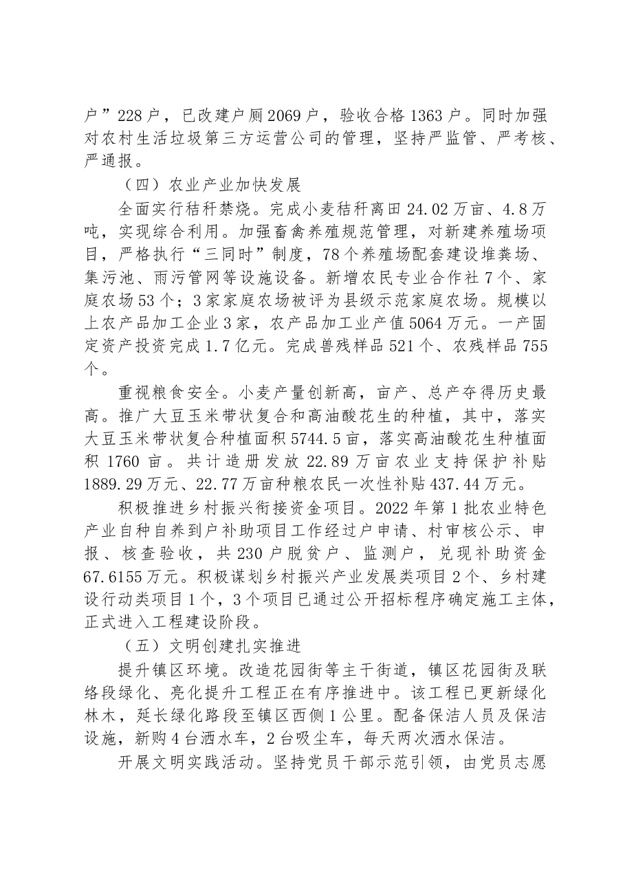 南坪镇2022年政府工作报告.docx,第4页预览
