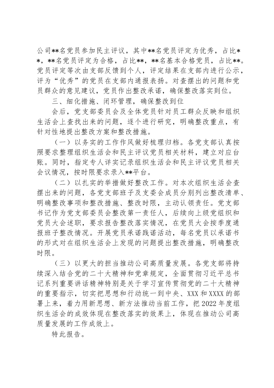 上年度基层党组织组织生活会和开展民主评议党员召开情况的报告.docx，第4页预览