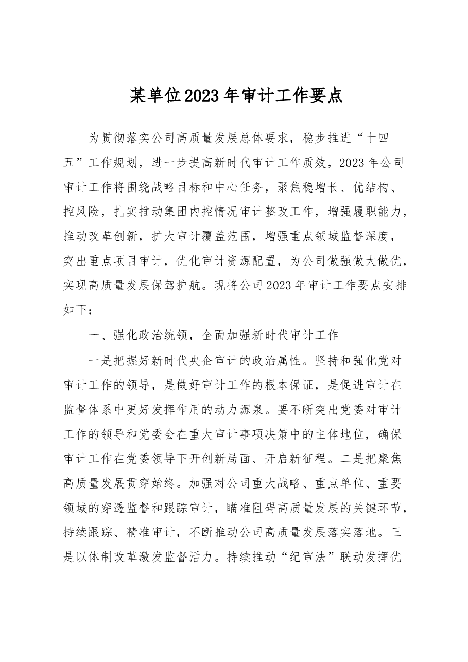 某单位2023年审计工作要点.docx,第1页预览