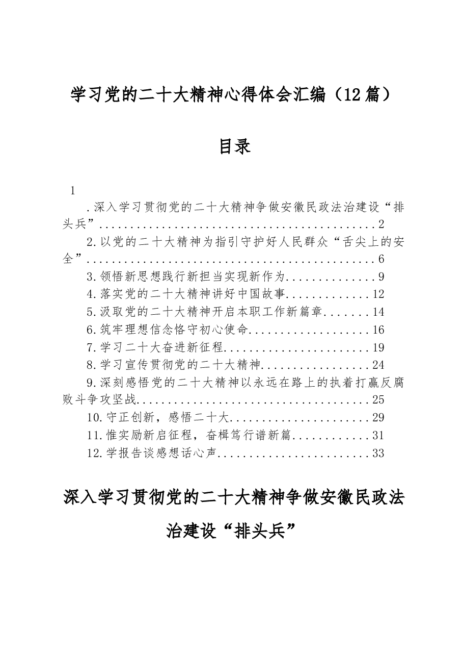 (12篇)学习党的二十大精神心得体会汇编.docx,第1页预览