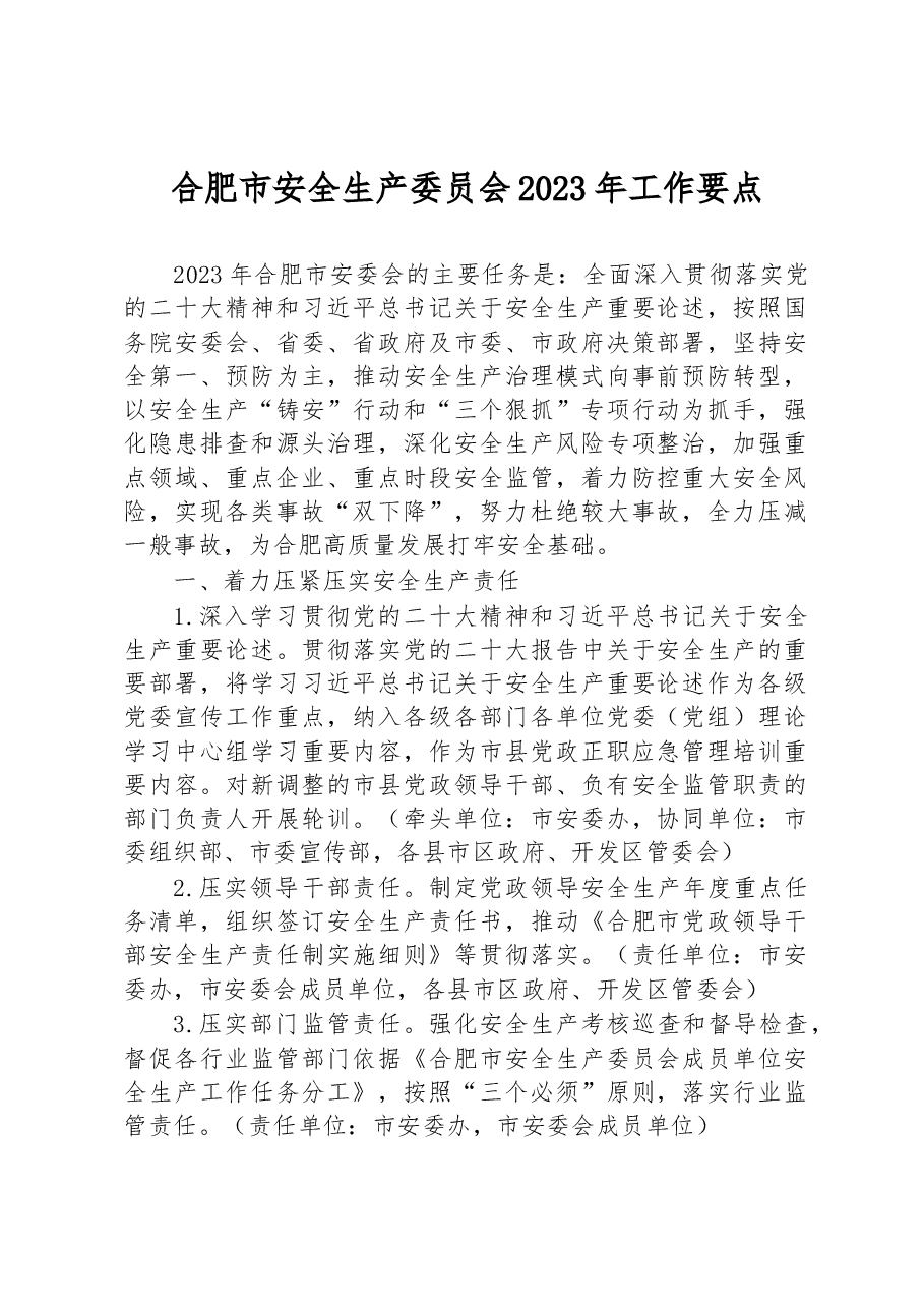 合肥市安全生产委员会2023年工作要点.docx,第1页预览