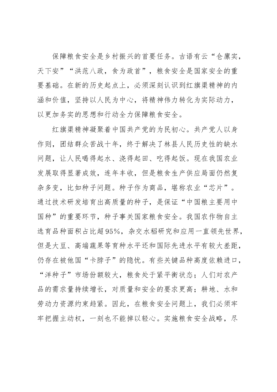 红旗渠精神赋能乡村振兴心得体会.docx,第4页预览