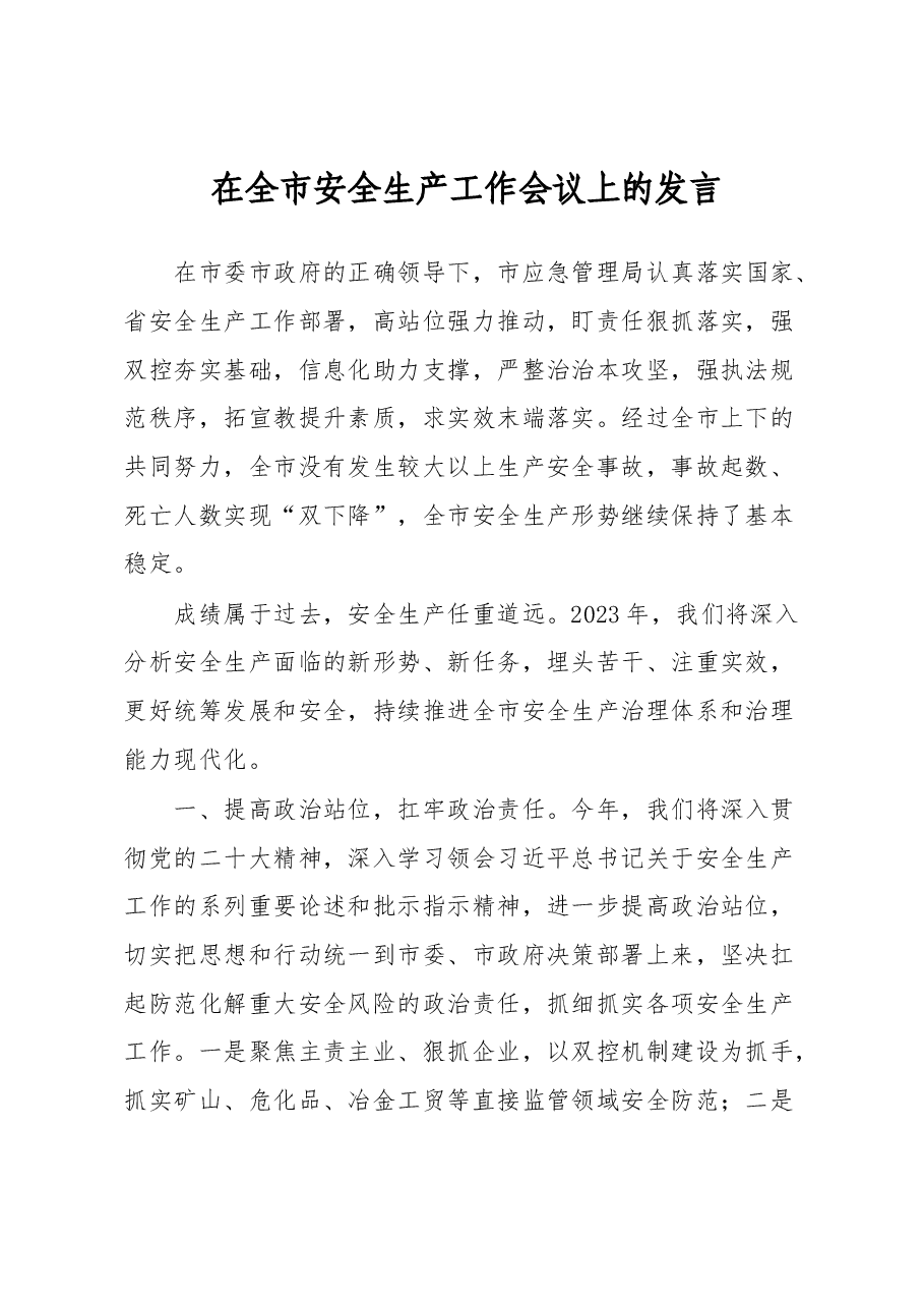 在全市安全生产工作会议上的发言.docx,第1页预览