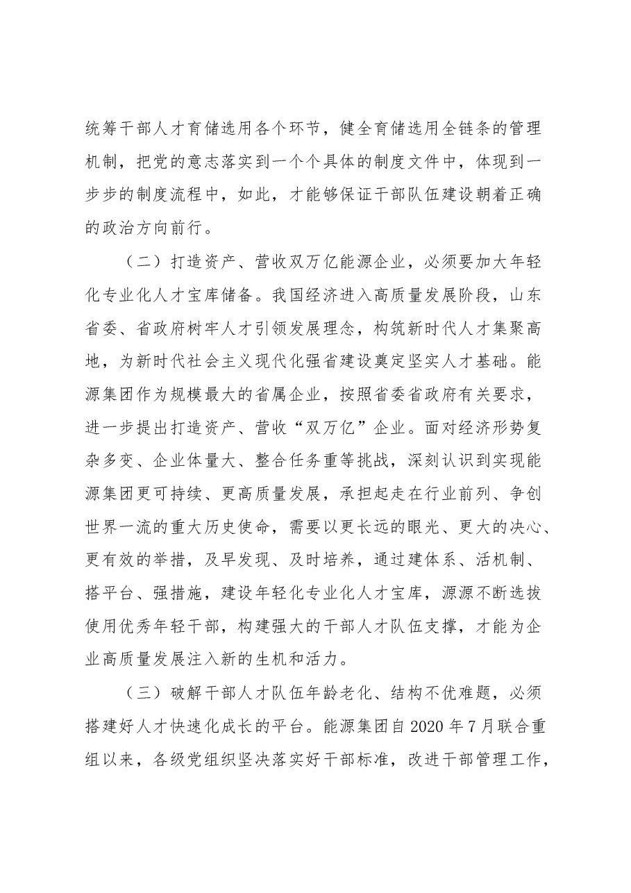 经验材料经验材料：健全干部育储选用全链条机制全面建设年轻化专业化人才宝库.docx，第2页预览