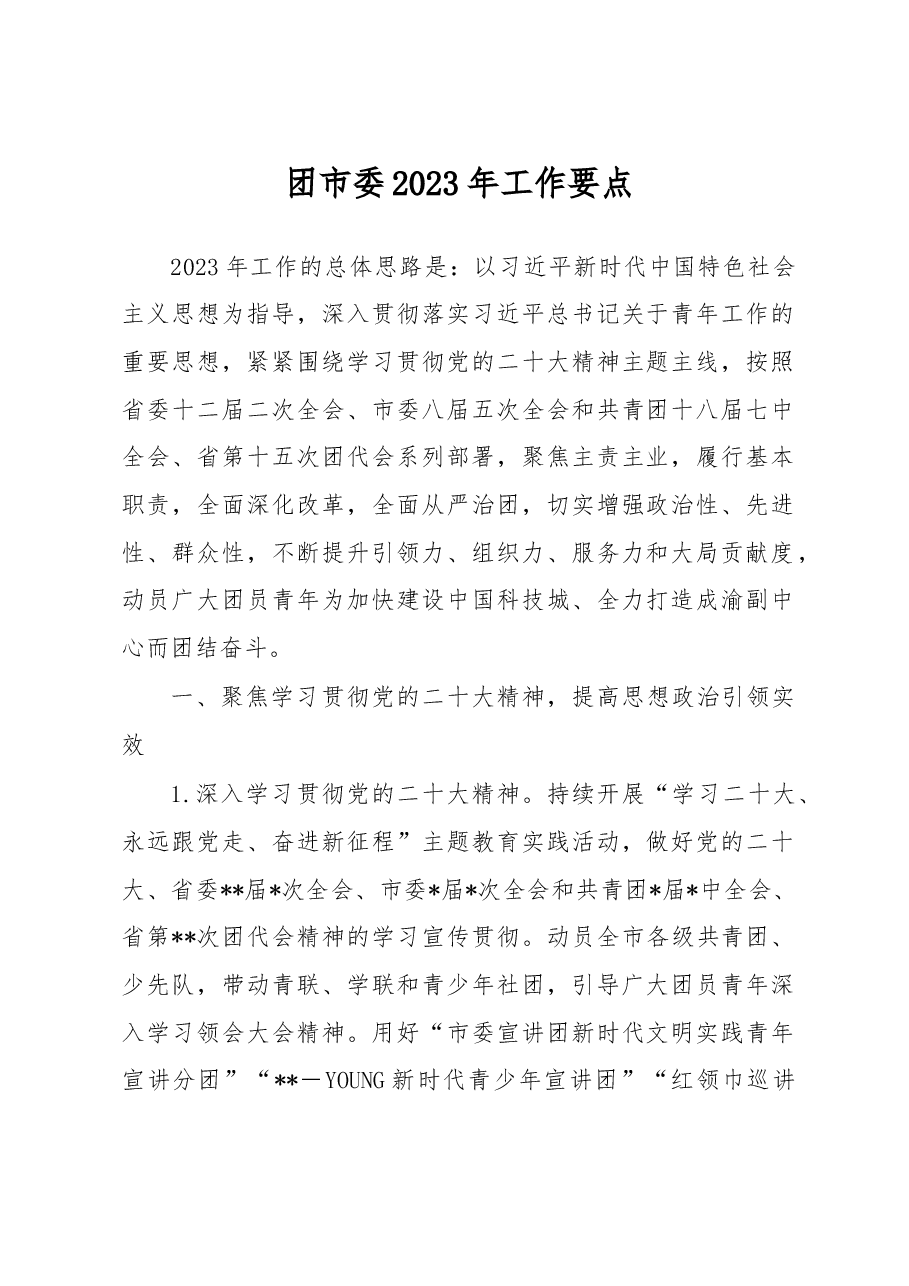团市委2023年工作要点.docx,第1页预览