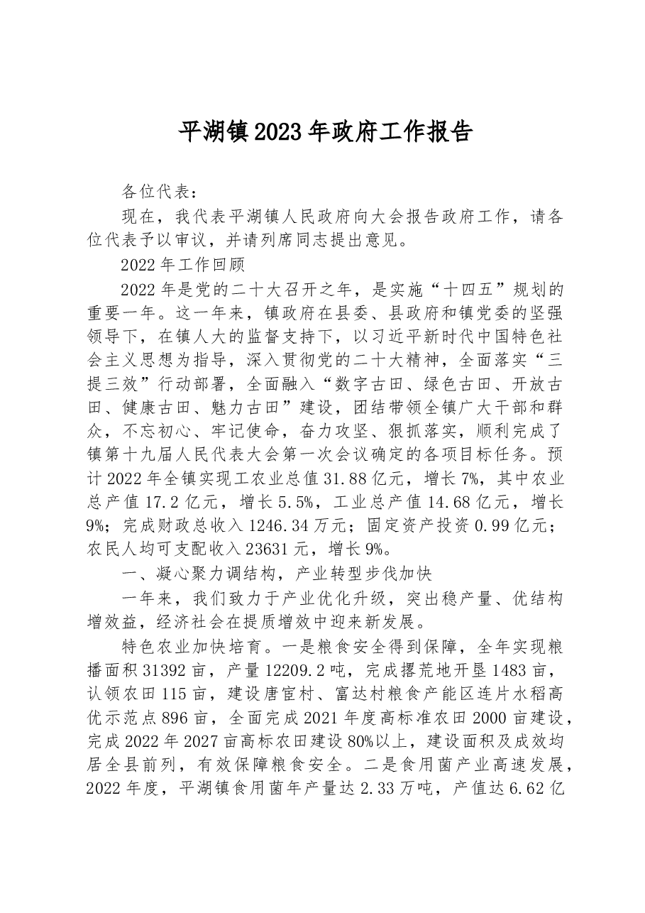平湖镇2023年政府工作报告.docx，第1页预览