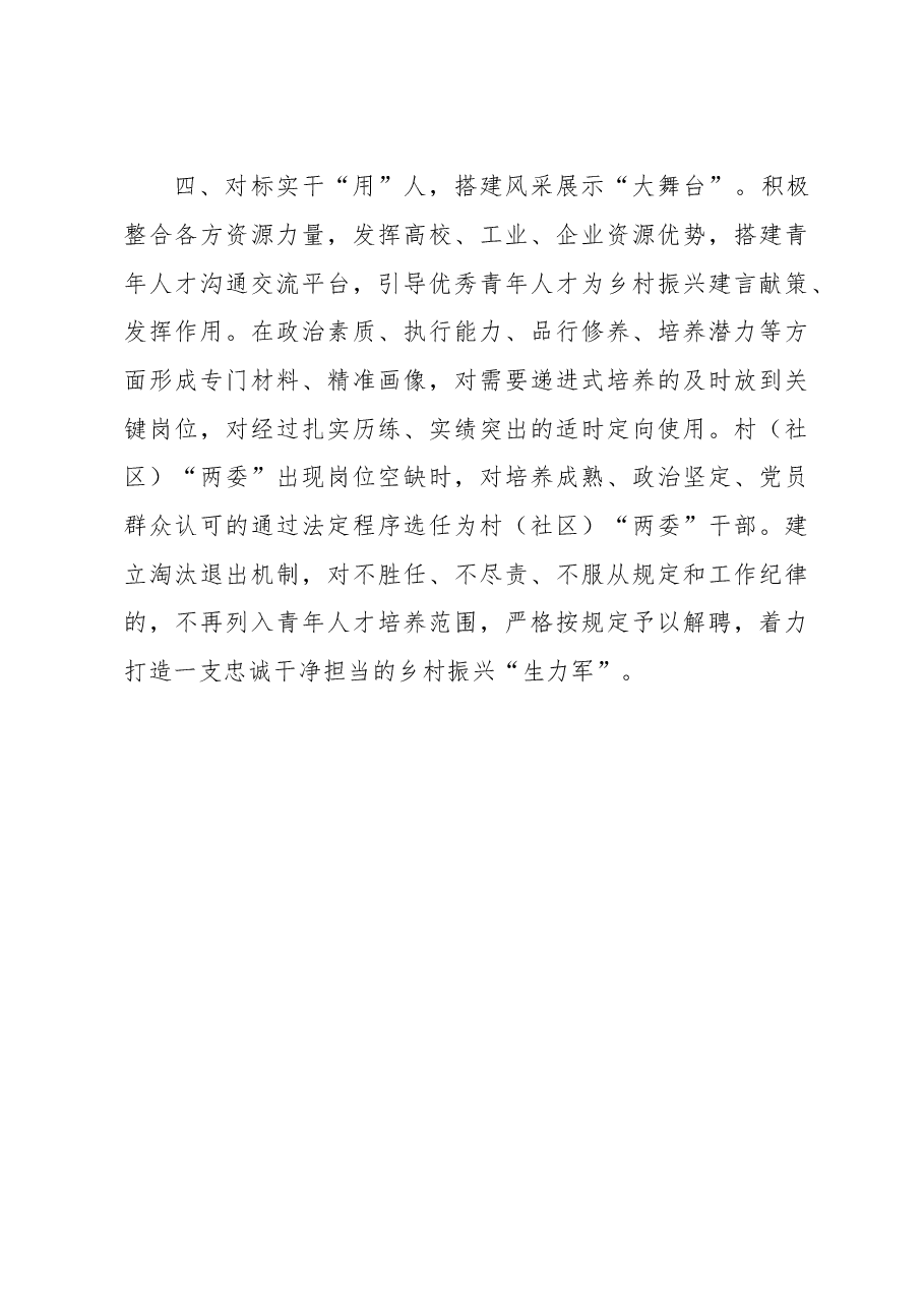 乡村振兴青年人才队伍建设工作汇报.docx,第3页预览