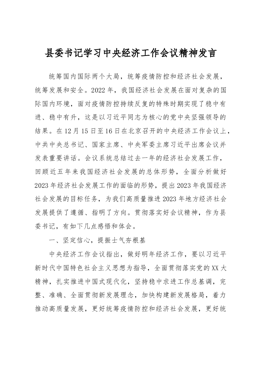 县委书记学习中央经济工作会议精神发言.docx,第1页预览