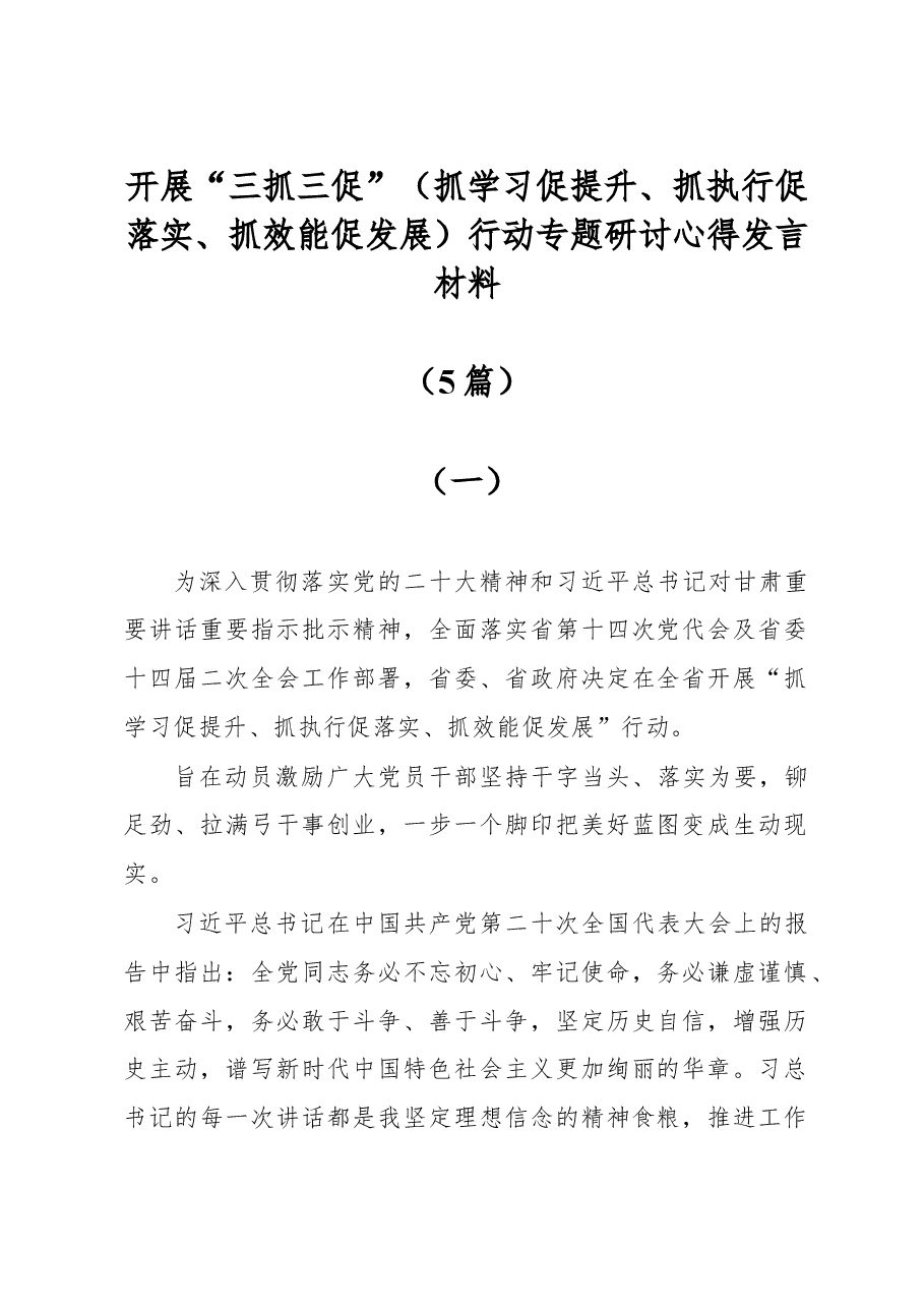 (5篇)开展“三抓三促”(抓学习促提升、抓执行促落实、抓效能促发展)行动专题研讨心得发言材料.docx,第1页预览