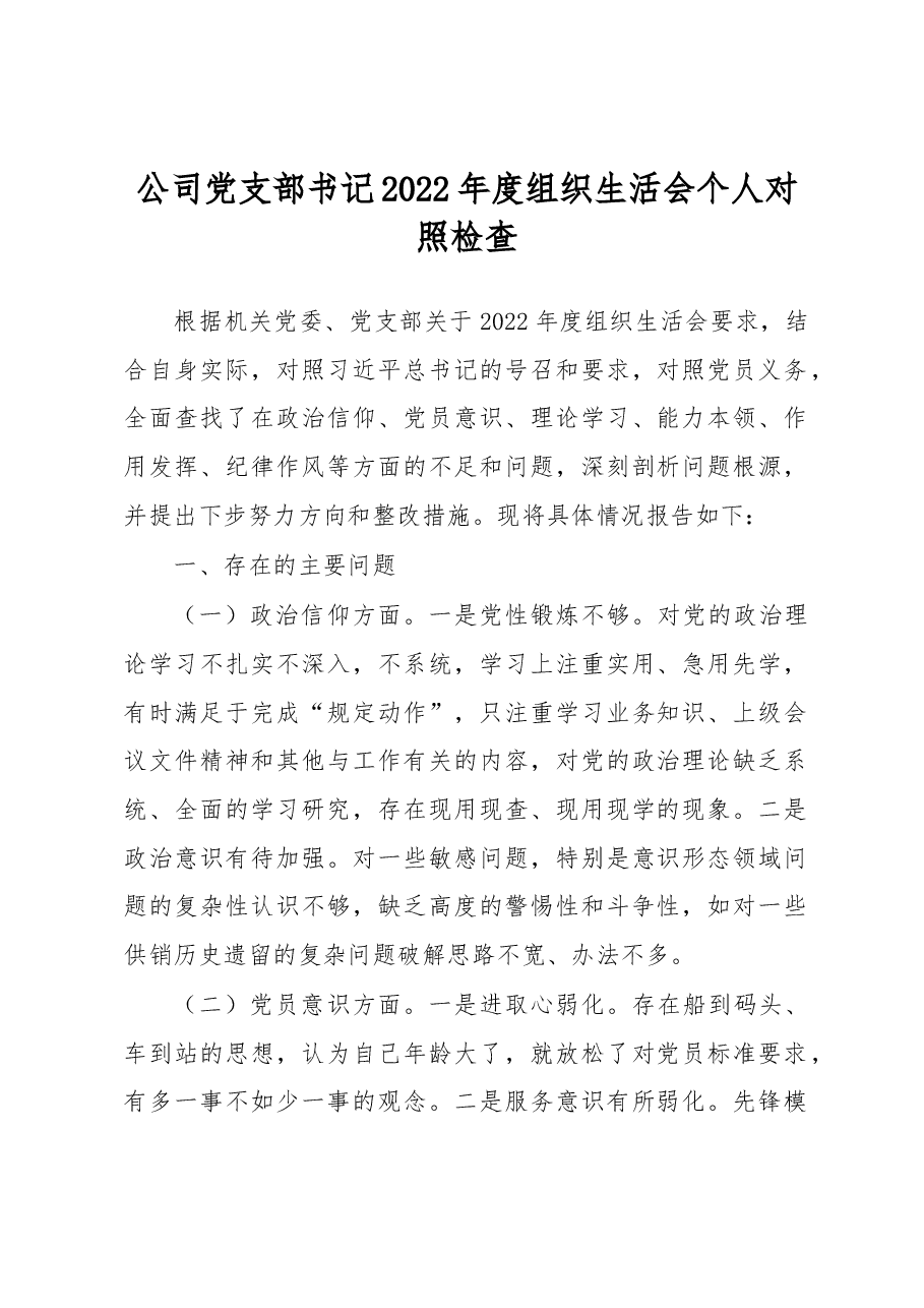 公司党支部书记2022年度组织生活会个人对照检查.docx，第1页预览