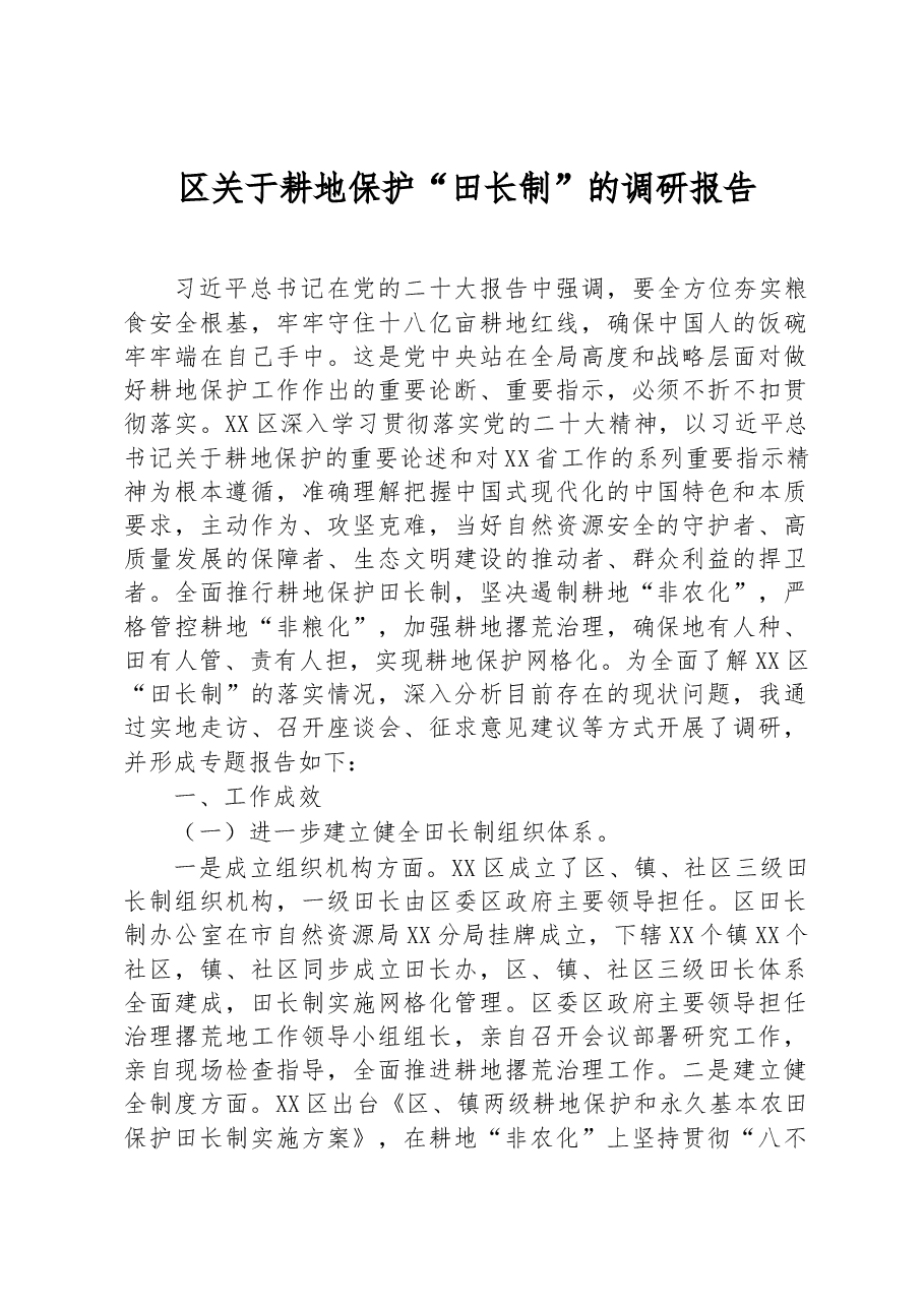 区关于耕地保护“田长制”的调研报告.docx,第1页预览