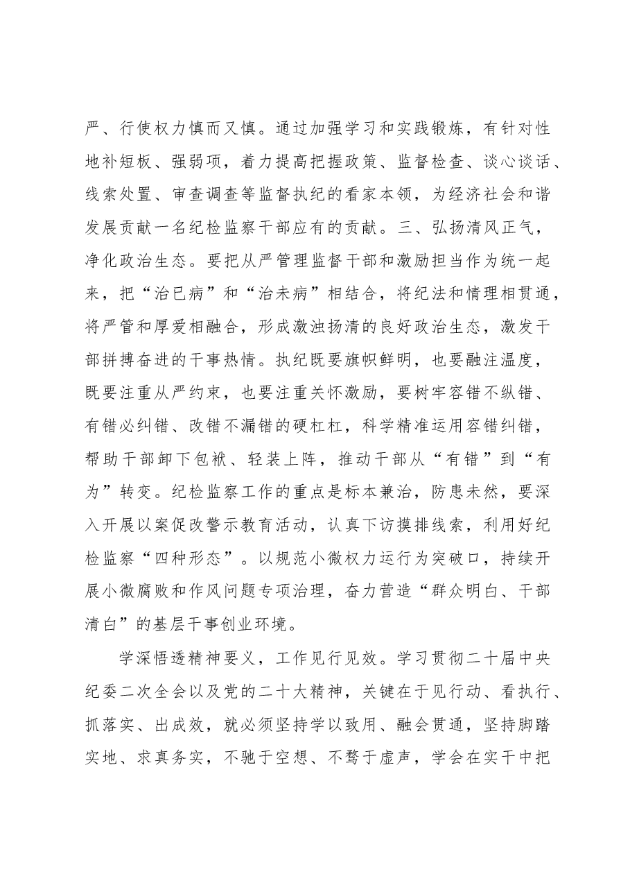 在学习二十届中央纪委二次全会精神时的发言.docx,第3页预览