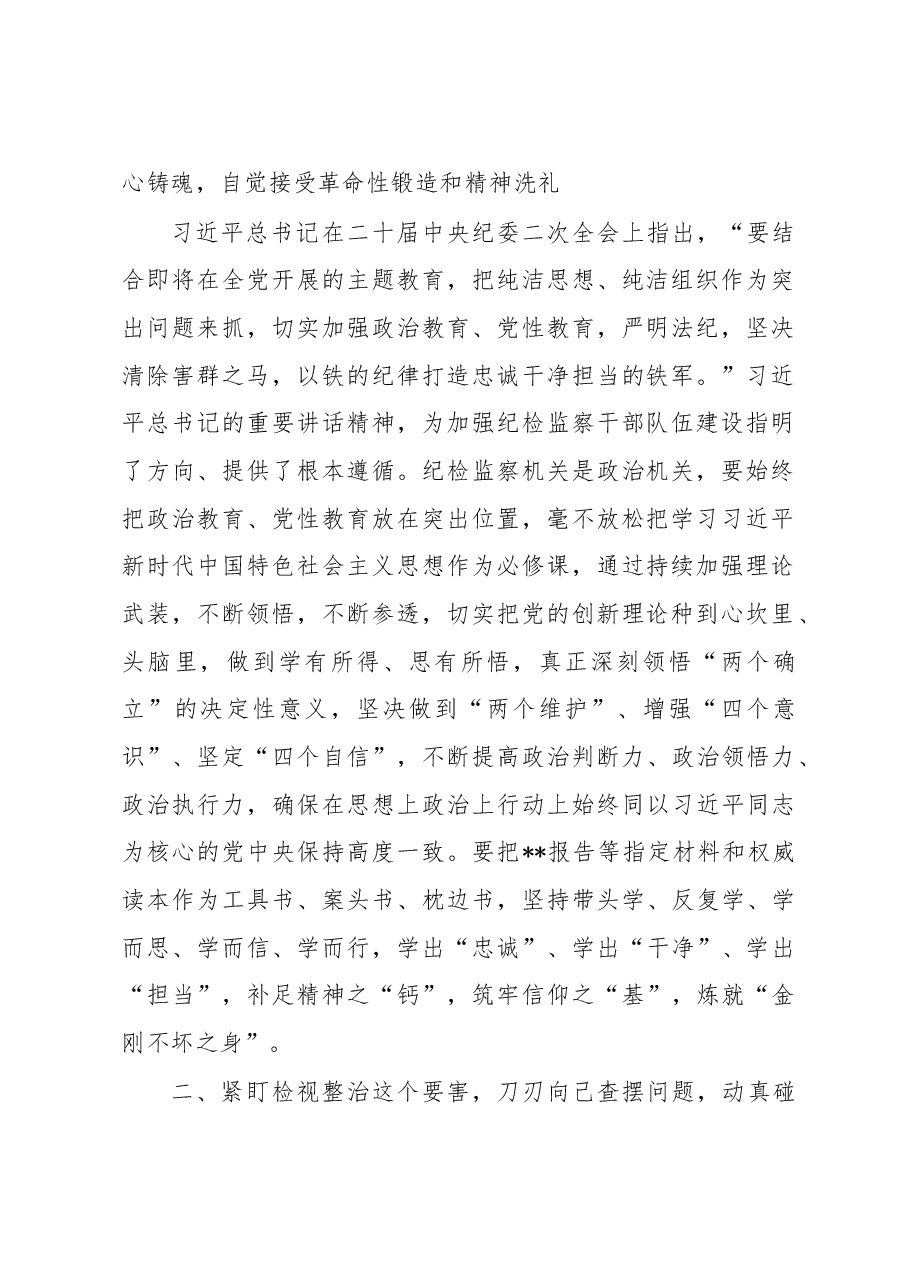 纪检监察干部队伍教育整顿的研讨发言稿.docx,第2页预览