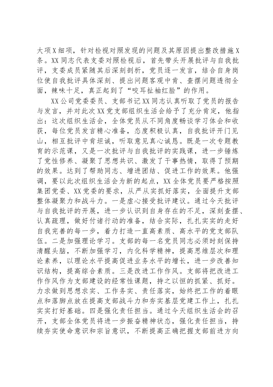公司党支部关于2022年度组织生活会召开情况的报告.docx,第3页预览