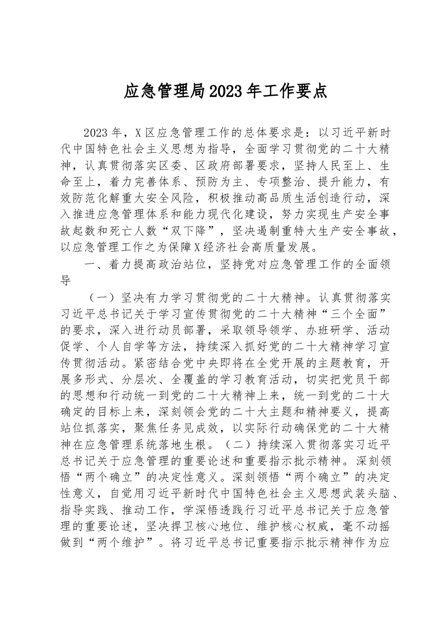 应急管理局2023年工作要点.docx,第1页预览