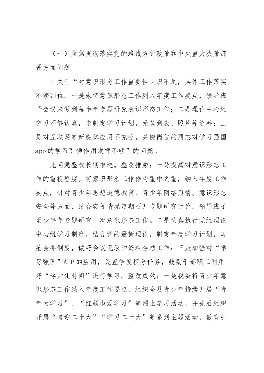 共青团县委关于巡察整改进展情况的报告.docx,第3页预览