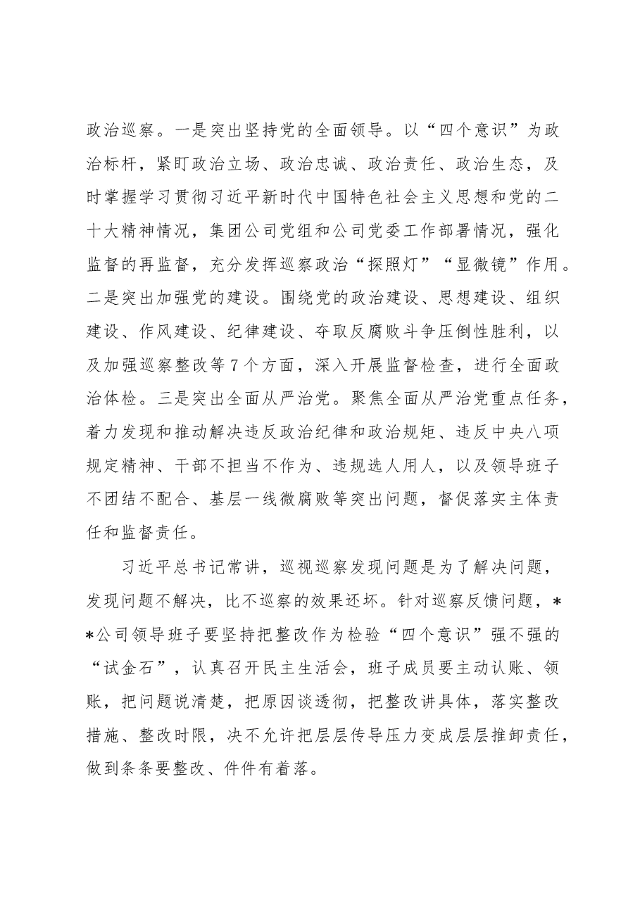 在国企巡察动员会上的讲话.docx,第4页预览