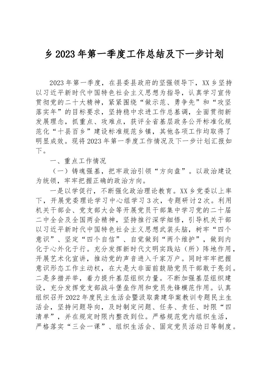 乡2023年第一季度工作总结及下一步计划.docx,第1页预览