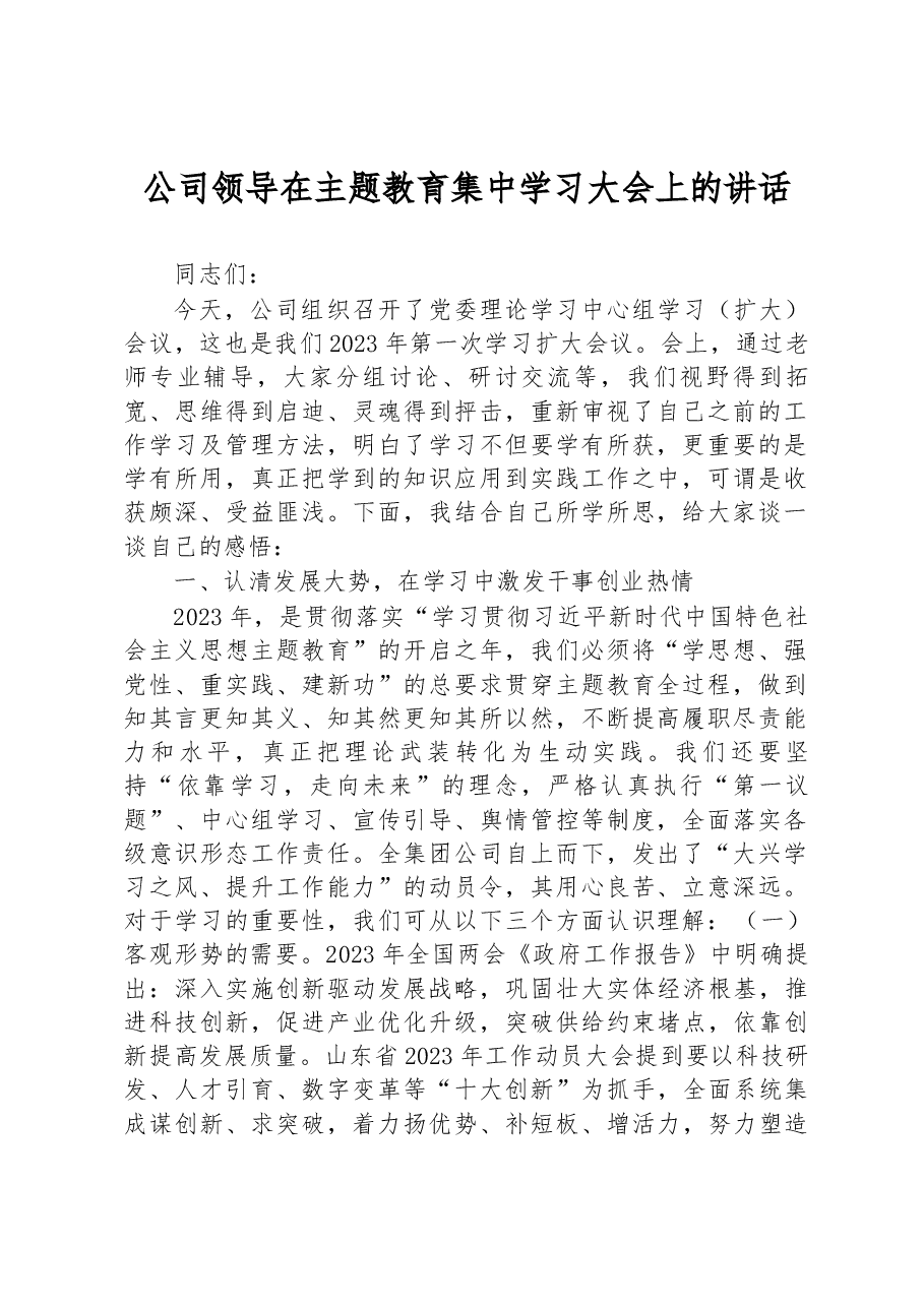 公司领导在主题教育集中学习大会上的讲话.docx,第1页预览
