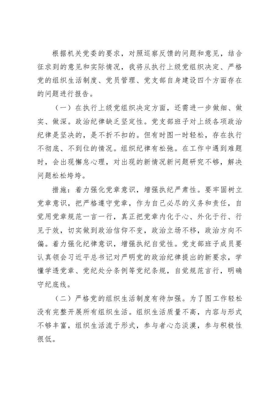 支部党建工作报告(问题整改措施总结汇报).docx,第3页预览