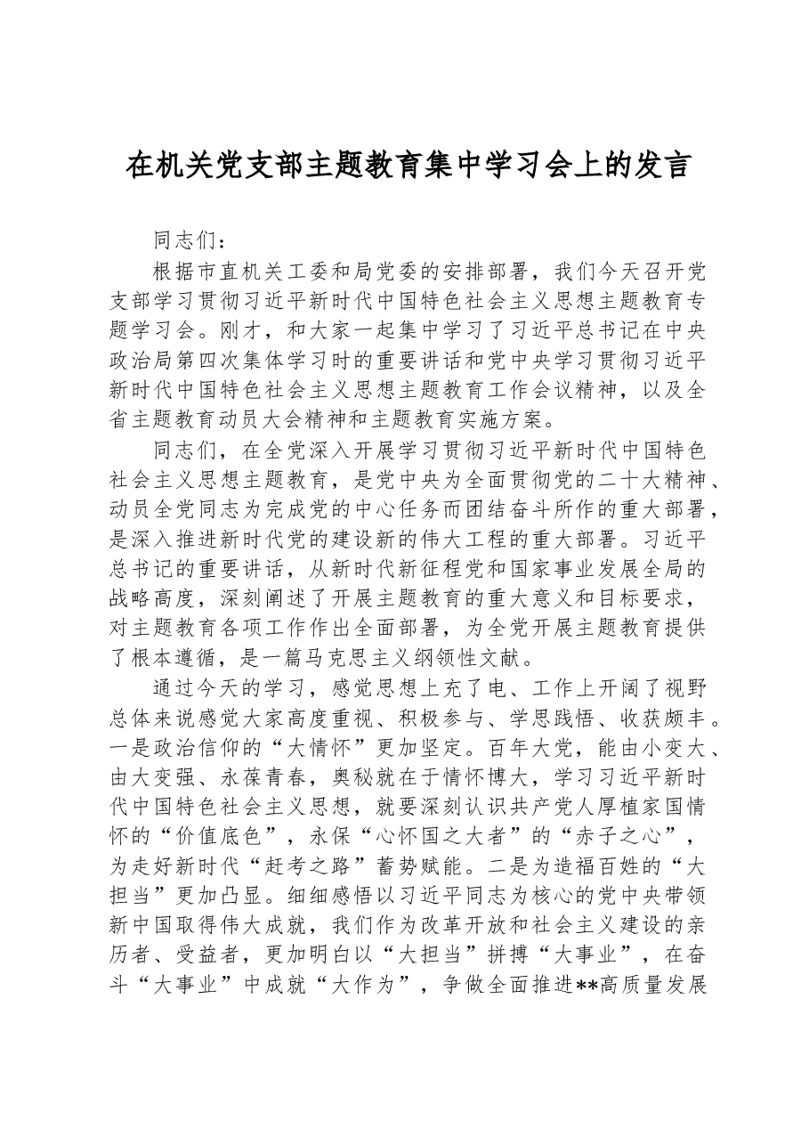 在机关党支部主题教育集中学习会上的发言.docx，第1页预览