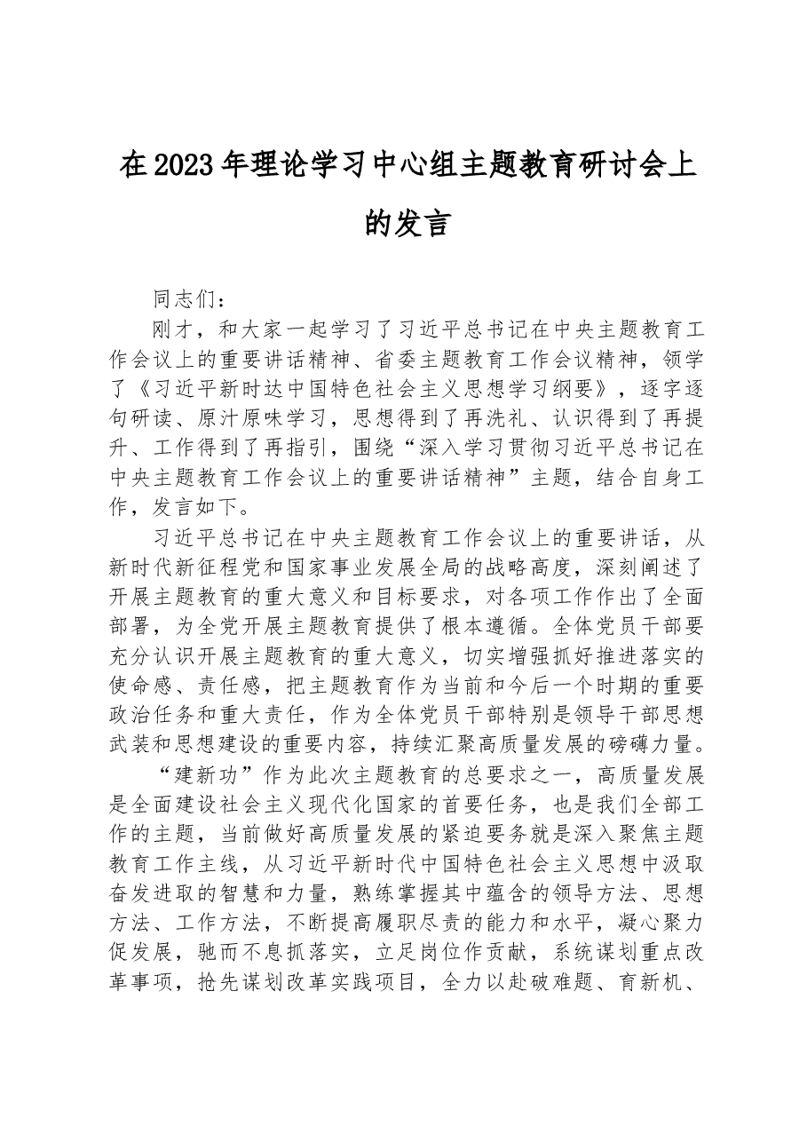 在2023年理论学习中心组主题教育研讨会上的发言.docx，第1页预览